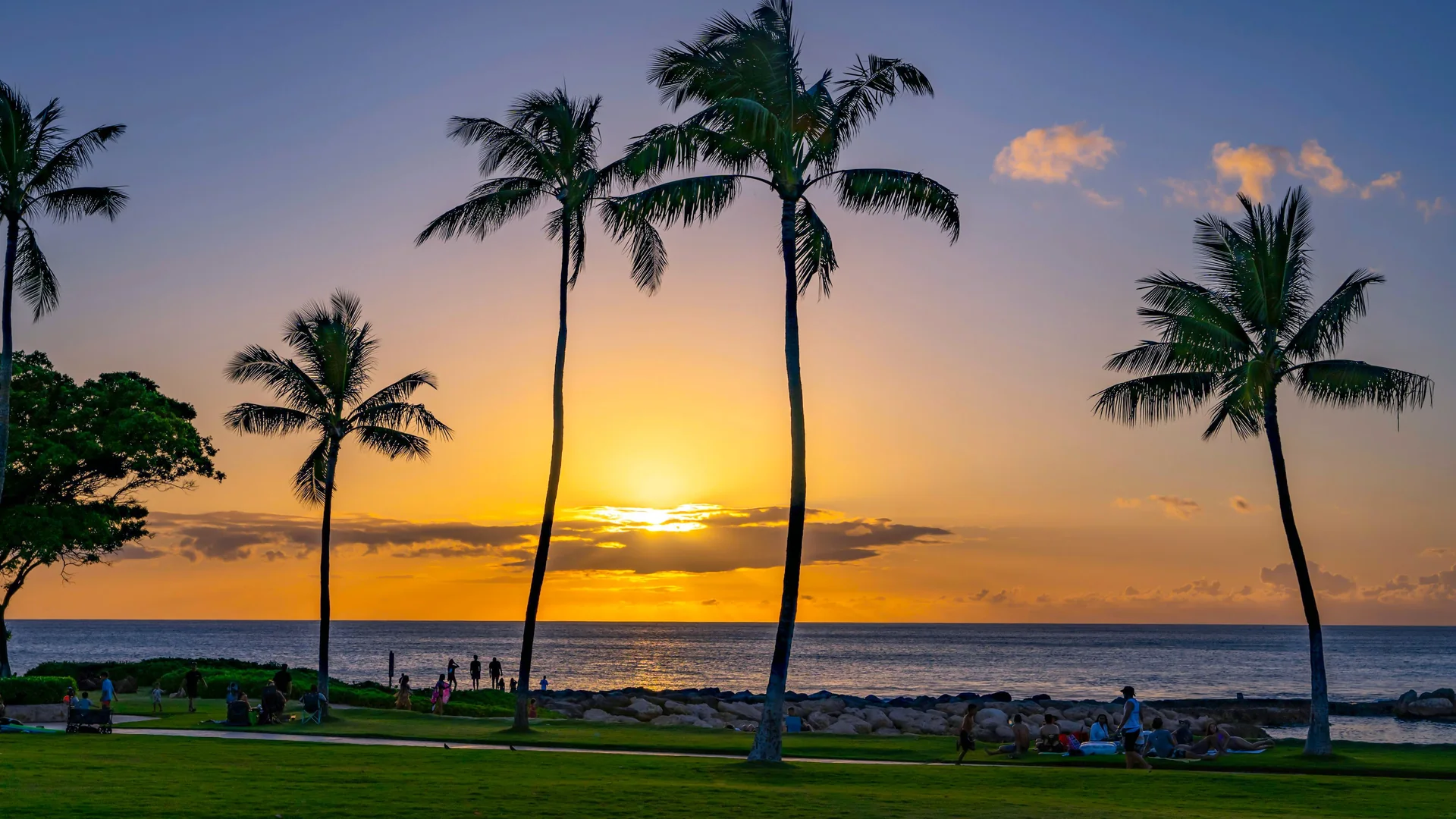 Palm trees silhouetted against a golden sunset over the ocean, people gathered on the grass along the shoreline